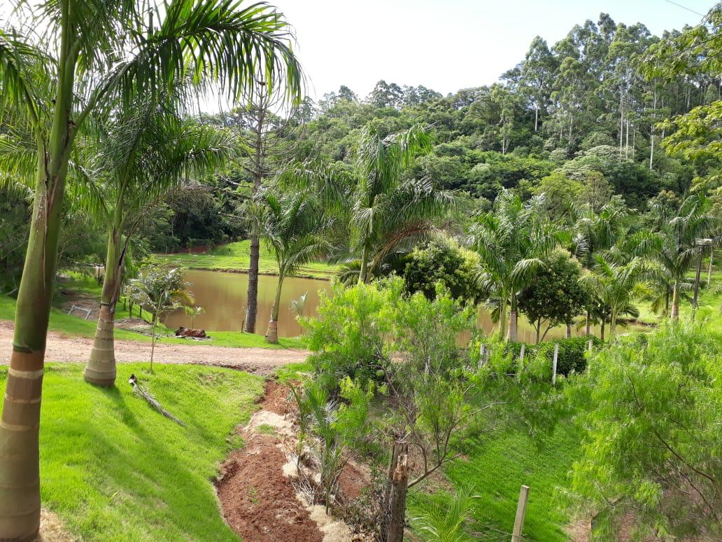 #231 - Chácara para Venda em Apucarana - PR