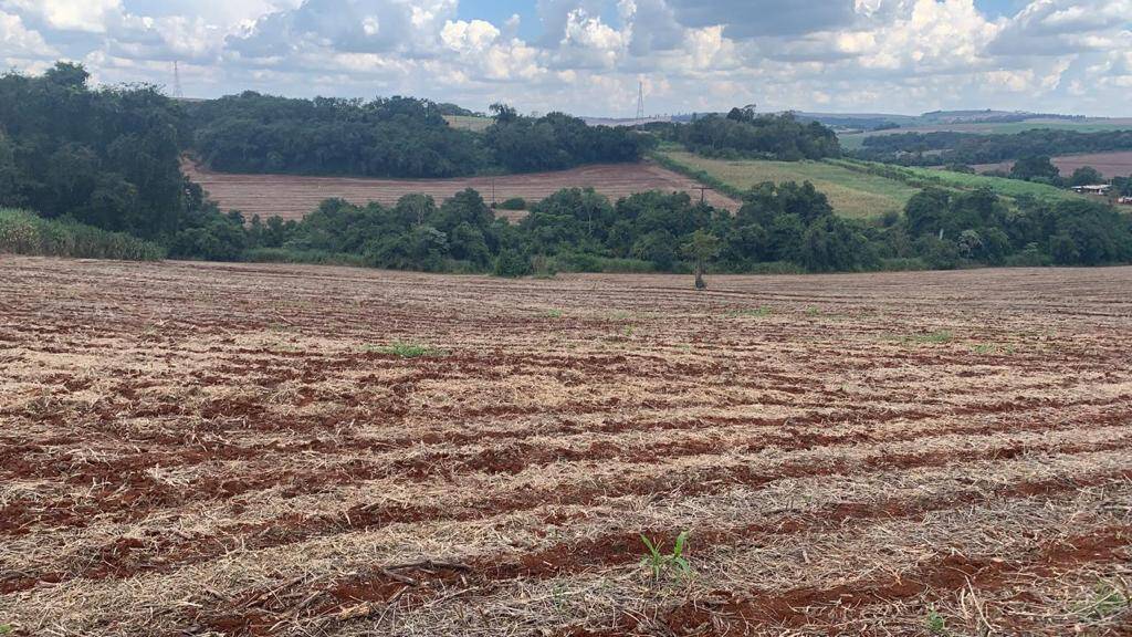 #1312 - Chácara para Venda em Arapongas - PR