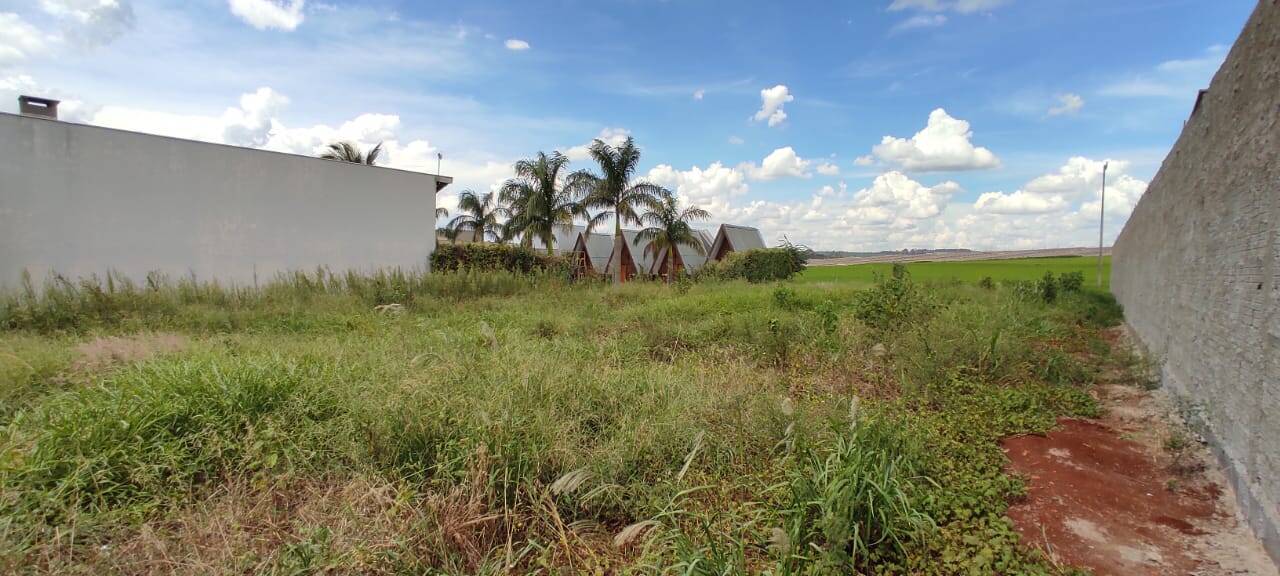 #1447 - Terreno para Venda em Arapongas - PR