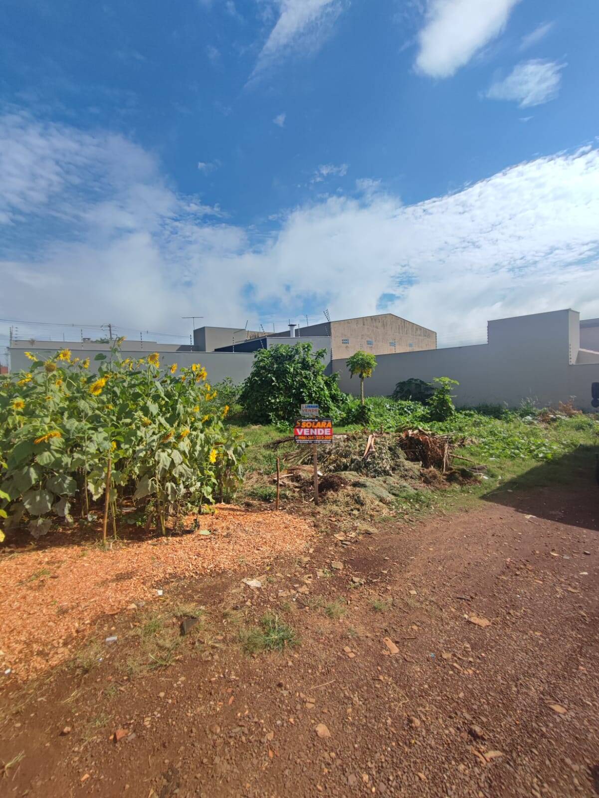 #1824 - Terreno para Venda em Arapongas - PR