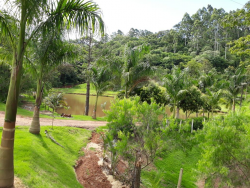 Venda em Distrito Correia de Freitas - Apucarana