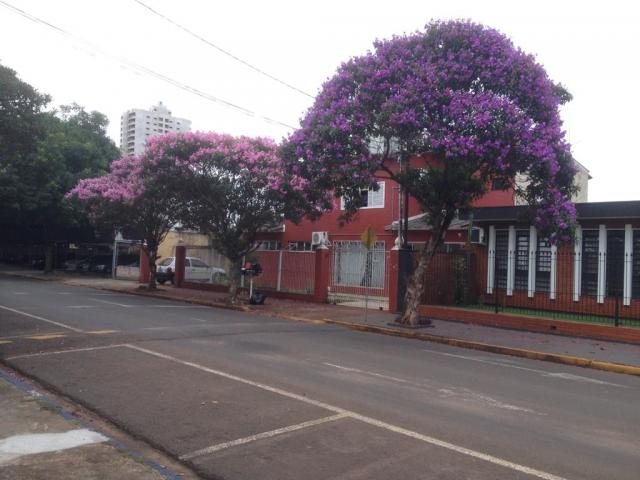 Sobrado para Venda em Arapongas - 4