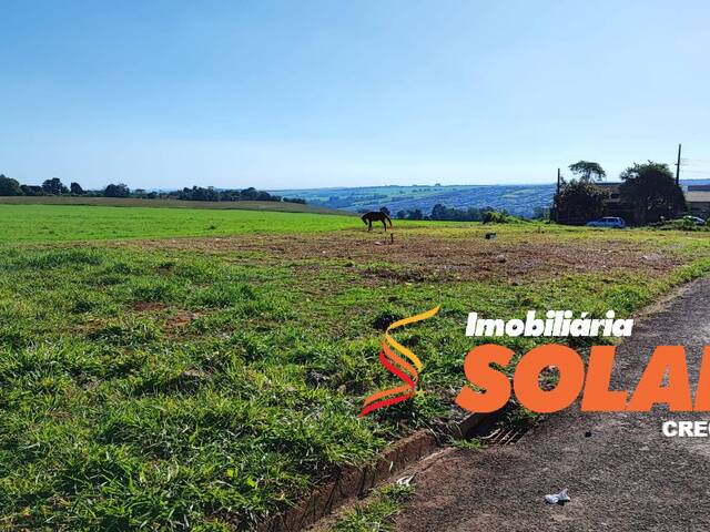 Terreno para Venda em Arapongas - 3