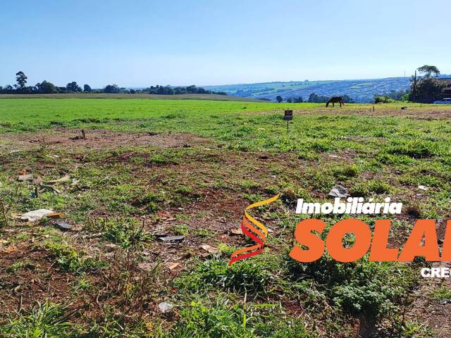 Terreno para Venda em Arapongas - 5