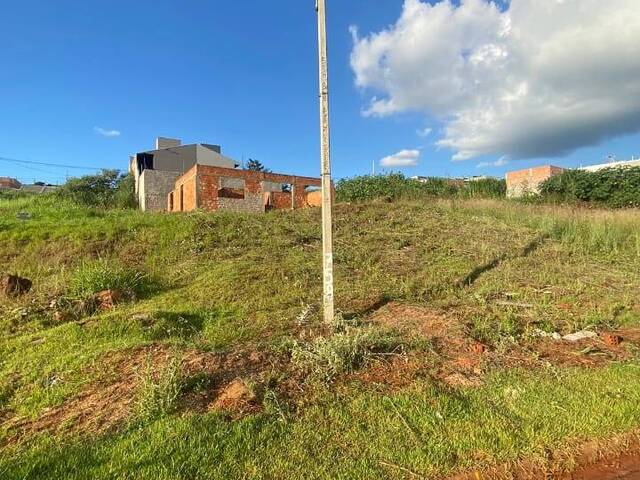 #1486 - Área para Venda em Arapongas - PR
