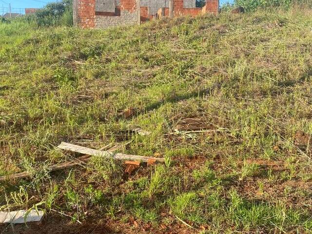 #1486 - Área para Venda em Arapongas - PR