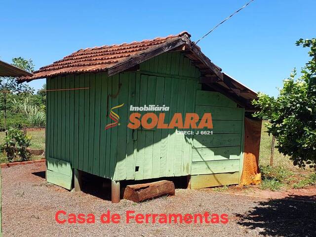  para  em  - 5