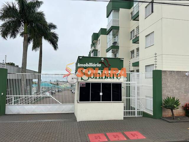 #1706 - Apartamento para Venda em Arapongas - PR - 1
