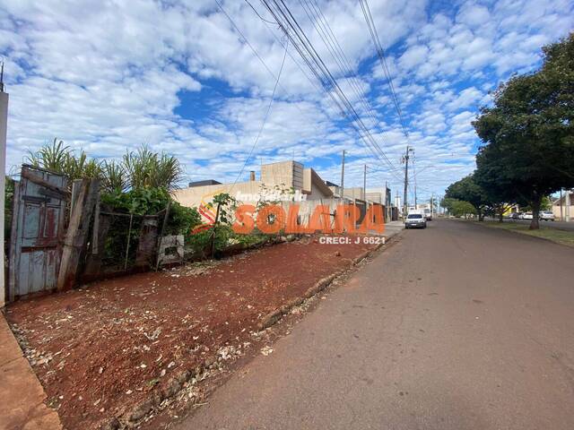 #1719 - Área para Venda em Arapongas - PR - 3