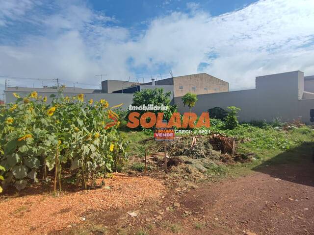 #1824 - Terreno para Venda em Arapongas - PR - 1